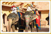 Colorful Heritage Tour Rajasthan 