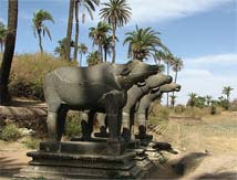 Mount Abu 